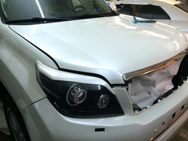 zashita lkp toyota prado 6 20160829 1528137914