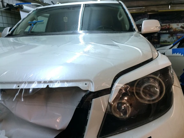 zashita lkp toyota prado 9 20160829 1112605520