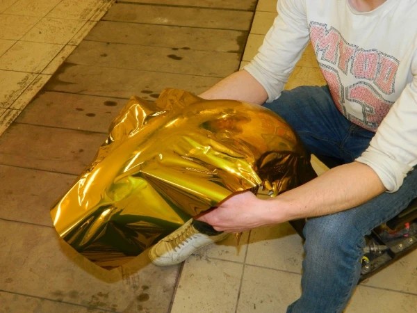 gold bike 11 20120924 2067201463